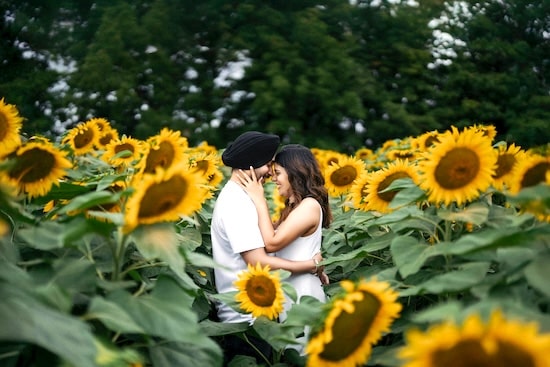 Gottman Assessment Relationship Checkup